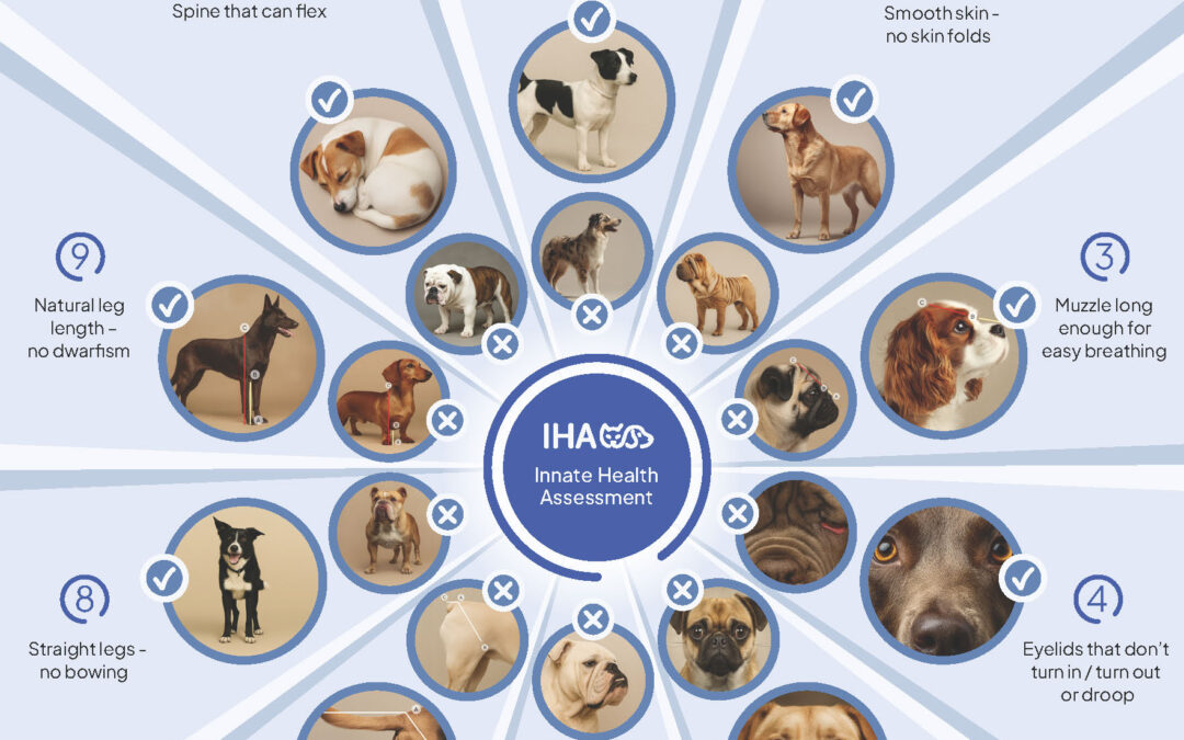 Facts on the IHA breeding tool